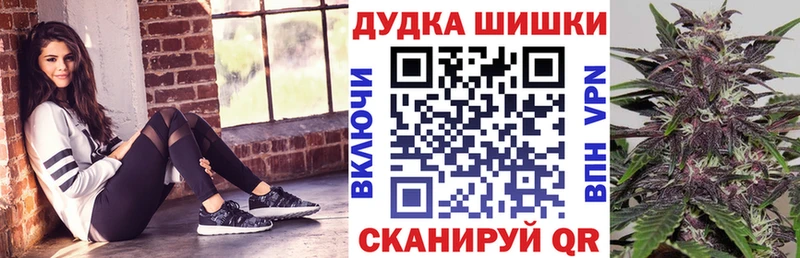 Бошки марихуана конопля  Хилок 